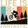 Life is Fantastic
