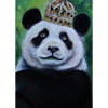Panda mit Krone Ölgemälde