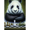 Panda spielt Schach