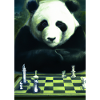 Panda spielt Schach