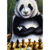 Panda spielt Schach