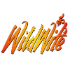 Wild Wife
