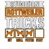 Stubborn Rottweiler Tricks