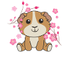 Animali carini del porcellino d'India per bambini kawaii