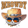 Miaou Drôle Mignon Cowboy Chat