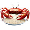 Red crab with rice