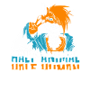 Furry Fandom Fursuits