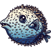 Il pesce palla è una creatura marina giocosa