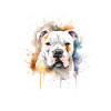 American Bulldog