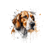 American Foxhound