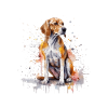 American Foxhound