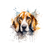 American Foxhound