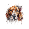 American Foxhound