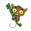 Tarsier