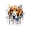 Foxhound américain