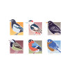 Funny Birding Quote Birdwatching