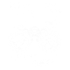 Birding Birder Birdwatching
