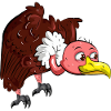 Vulture