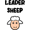 Leader sheep