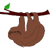 Sloth