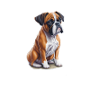 i love my dogs
