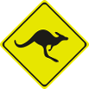 kangaroo crossing