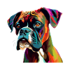 Boxer Hund Bunt