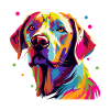 Labrador Hund Bunt