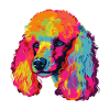 Pudelhund Bunt