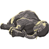 Éléphant d’Asie au soleil