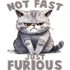 Not Fat just Furious