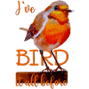 Robin oiseau mignon Oiseau tout avant