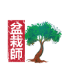 Garden Gardener Bonsai Master