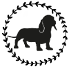 Dachshund Love