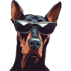 Doberman Wearing Sunglasses