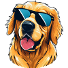 Golden Retriever Wearing Sunglasses