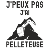 Chantier de construction pelleteuse 1