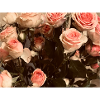 Frauen blumen