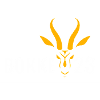 BOK LOGO HEAD