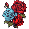 Beautiful roses