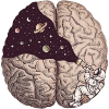 Dreaming Astronaut - Illustration dreams brain