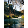 Forest River Wasserfall