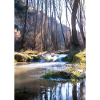 Forest River Wasserfall
