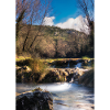 Forest River Wasserfall