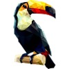 Polygonaler Tukan
