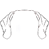 Kurzhaar ears black