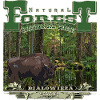 Nationalpark Bialowieza