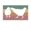 I bred tiny dinosaurs -