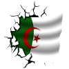 Algeria - Algeria - Torn Flag