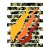 Fire Nation
